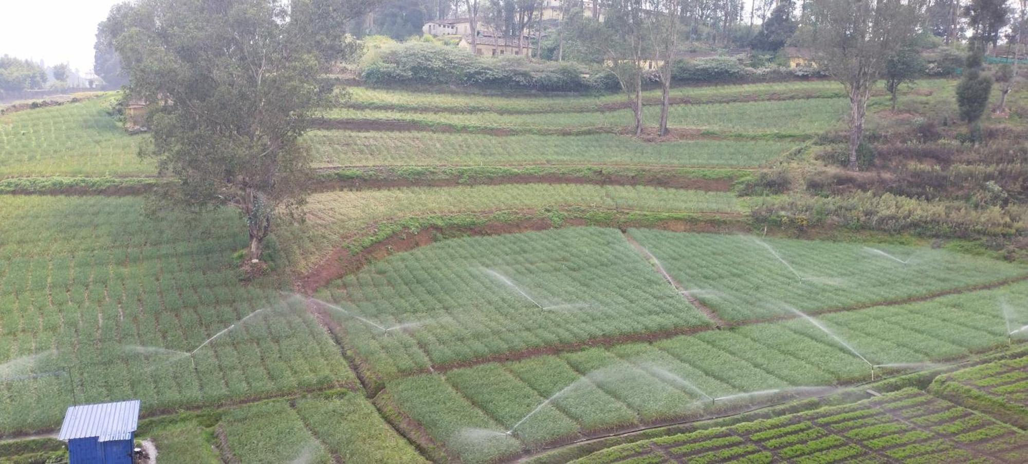 J J Homes Ooty Ngoại thất bức ảnh